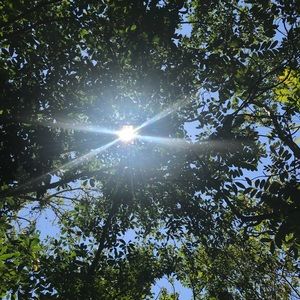 Meet your Posher, Hailey